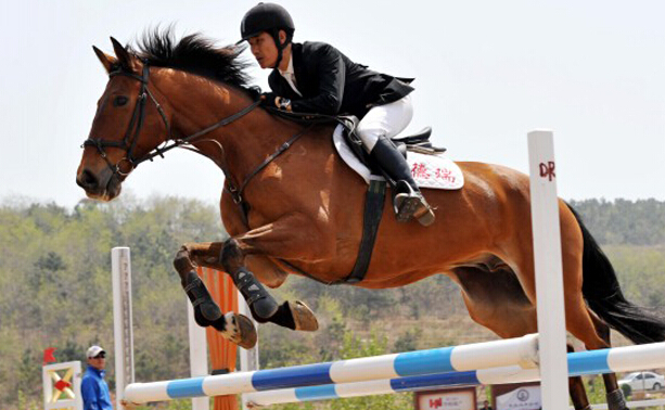 南京先鋒速記為南京青奧會馬術場館和賽事發布會提供速記